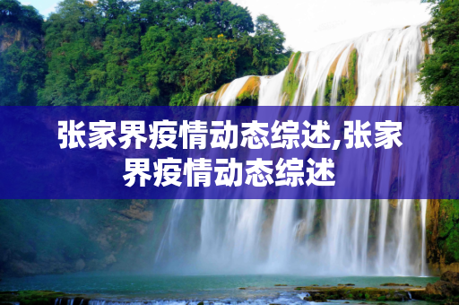 张家界疫情动态综述,张家界疫情动态综述