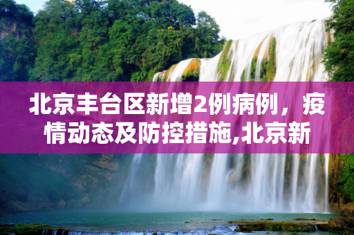 北京丰台区新增2例病例，疫情动态及防控措施,北京新增2例丰台区病例