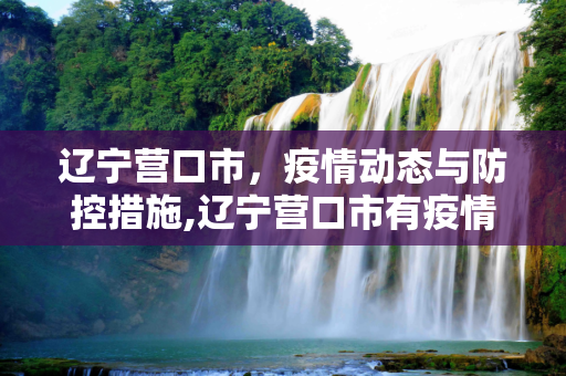 辽宁营口市，疫情动态与防控措施,辽宁营口市有疫情吗