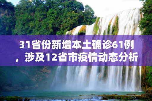 31省份新增本土确诊61例，涉及12省市疫情动态分析,31省份增本土确诊61例 涉12省市