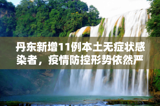 丹东新增11例本土无症状感染者，疫情防控形势依然严峻,丹东新增11例本土无症状