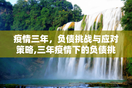 疫情三年，负债挑战与应对策略,三年疫情下的负债挑战