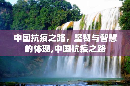 中国抗疫之路，坚韧与智慧的体现,中国抗疫之路
