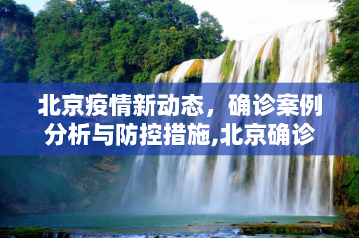 北京疫情新动态，确诊案例分析与防控措施,北京确诊