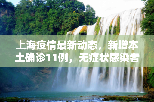 上海疫情最新动态，新增本土确诊11例，无症状感染者64例,包含上海新增本土确诊11例无症状64例的词条