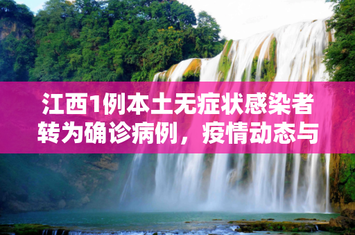 江西1例本土无症状感染者转为确诊病例，疫情动态与防控措施,江西1例本土无症状转为确诊病例