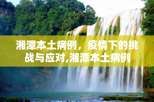 湘潭本土病例，疫情下的挑战与应对,湘潭本土病例