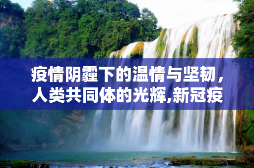 疫情阴霾下的温情与坚韧，人类共同体的光辉,新冠疫情下的温情与坚韧
