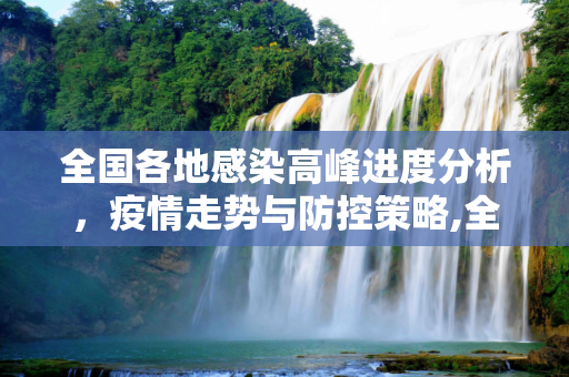 全国各地感染高峰进度分析，疫情走势与防控策略,全国各地感染高峰进度