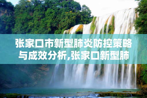 张家口市新型肺炎防控策略与成效分析,张家口新型肺炎