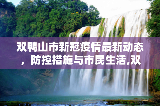 双鸭山市新冠疫情最新动态，防控措施与市民生活,双鸭山新冠疫情最新消息