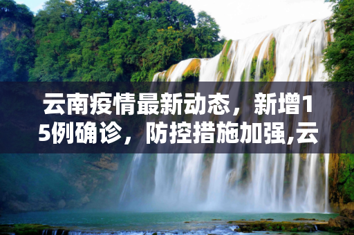 云南疫情最新动态，新增15例确诊，防控措施加强,云南新增15例确诊