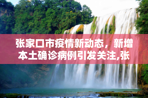 张家口市疫情新动态，新增本土确诊病例引发关注,张家口新增本土确诊