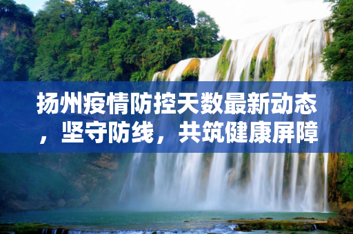 扬州疫情防控天数最新动态，坚守防线，共筑健康屏障,扬州疫情防控天数最新