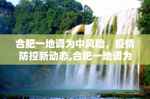 合肥一地调为中风险，疫情防控新动态,合肥一地调为中风险