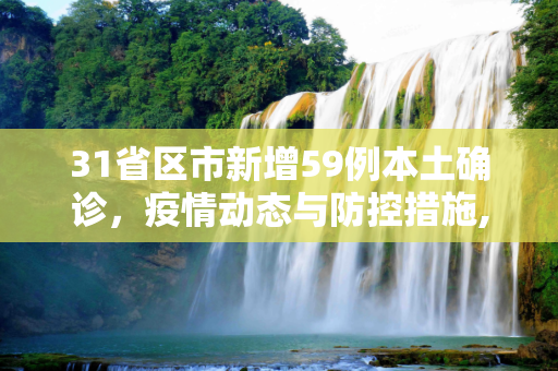 31省区市新增59例本土确诊，疫情动态与防控措施,31省区市新增59例本土确诊