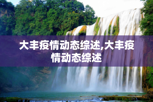 大丰疫情动态综述,大丰疫情动态综述