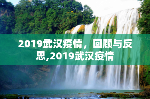 2019武汉疫情，回顾与反思,2019武汉疫情