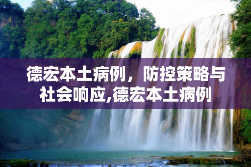 德宏本土病例，防控策略与社会响应,德宏本土病例