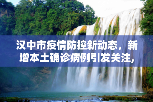 汉中市疫情防控新动态，新增本土确诊病例引发关注,汉中新增本土确诊