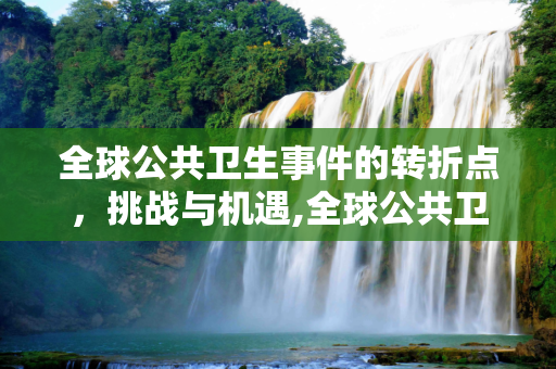 全球公共卫生事件的转折点，挑战与机遇,全球公共卫生事件转折点
