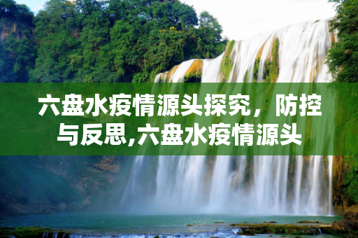 六盘水疫情源头探究，防控与反思,六盘水疫情源头