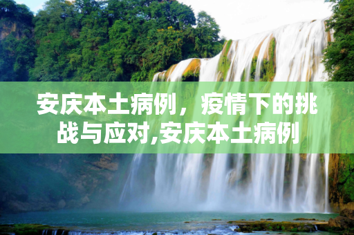 安庆本土病例，疫情下的挑战与应对,安庆本土病例