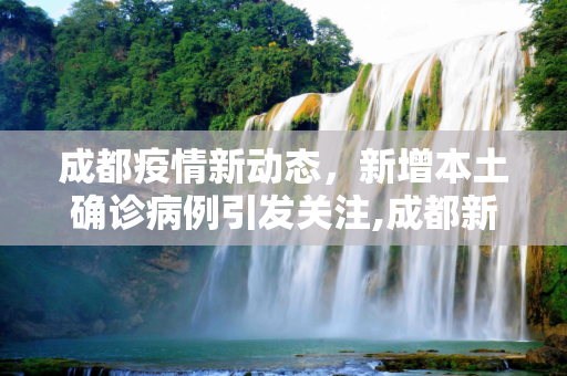成都疫情新动态，新增本土确诊病例引发关注,成都新增本土确诊病例