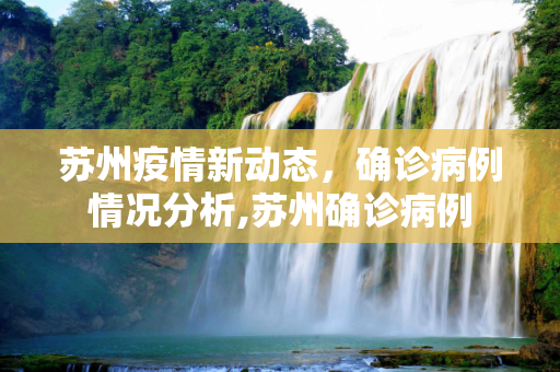 苏州疫情新动态，确诊病例情况分析,苏州确诊病例