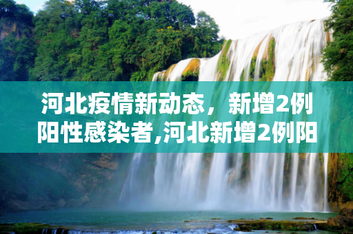 河北疫情新动态，新增2例阳性感染者,河北新增2例阳性感染者
