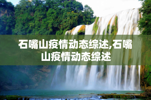 石嘴山疫情动态综述,石嘴山疫情动态综述