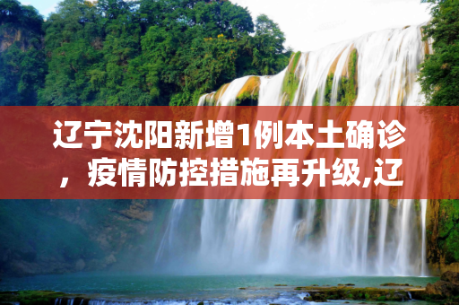 辽宁沈阳新增1例本土确诊，疫情防控措施再升级,辽宁沈阳新增1例本土确诊