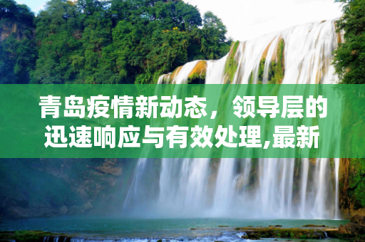 青岛疫情新动态，领导层的迅速响应与有效处理,最新青岛疫情领导处理