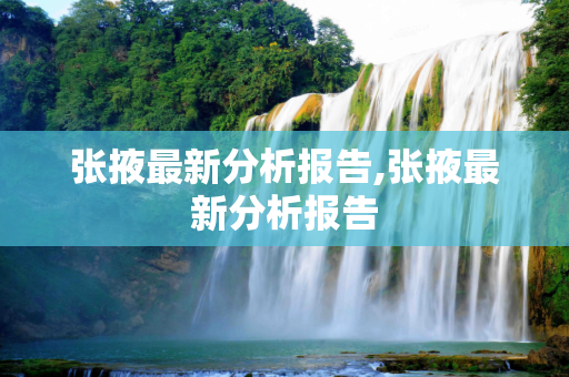 张掖最新分析报告,张掖最新分析报告