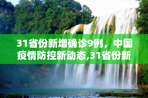31省份新增确诊9例，中国疫情防控新动态,31省份新增确诊9例