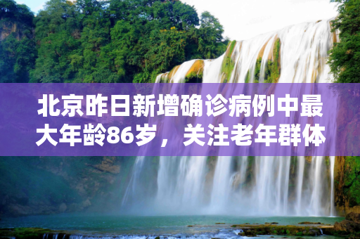 北京昨日新增确诊病例中最大年龄86岁，关注老年群体的疫情防控,北京昨日确诊病例最大86岁