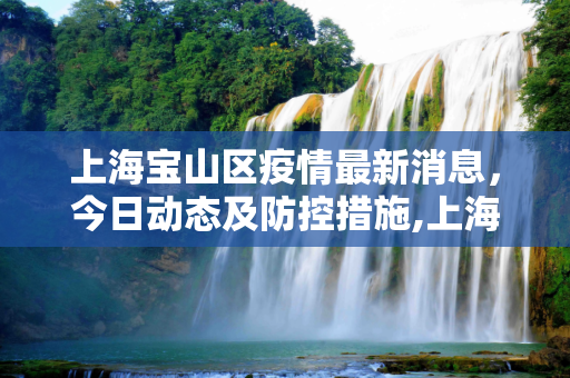 上海宝山区疫情最新消息，今日动态及防控措施,上海宝山区疫情最新消息今天