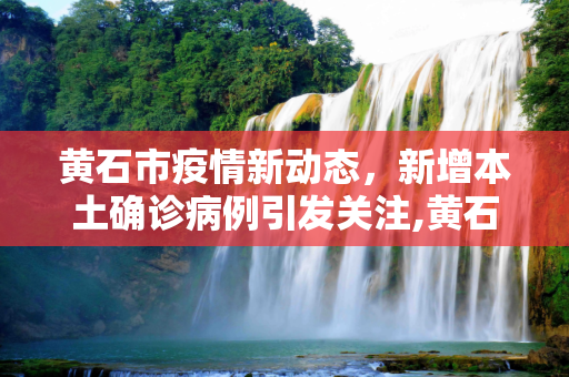 黄石市疫情新动态，新增本土确诊病例引发关注,黄石新增本土确诊