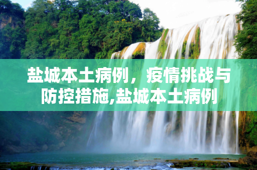 盐城本土病例，疫情挑战与防控措施,盐城本土病例