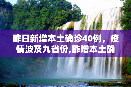 昨日新增本土确诊40例，疫情波及九省份,昨增本土确诊40例涉9省份