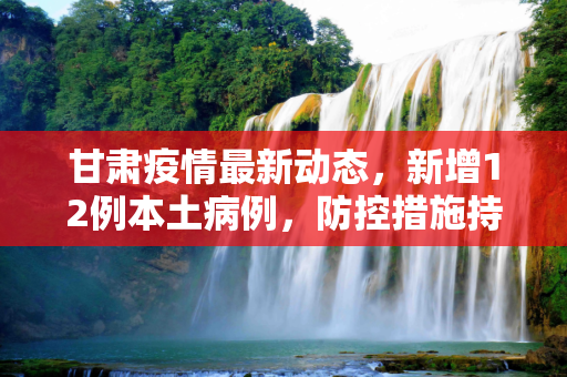 甘肃疫情最新动态，新增12例本土病例，防控措施持续加强,甘肃新增12例本土