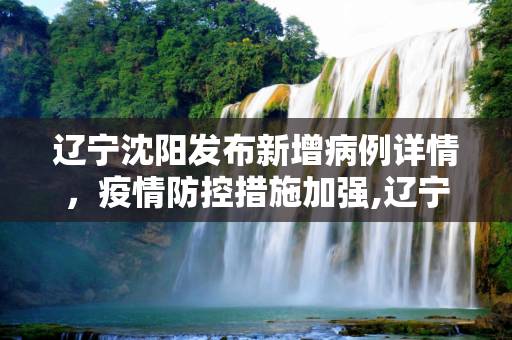辽宁沈阳发布新增病例详情，疫情防控措施加强,辽宁沈阳发布新增病例详情