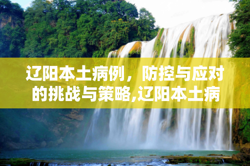 辽阳本土病例，防控与应对的挑战与策略,辽阳本土病例