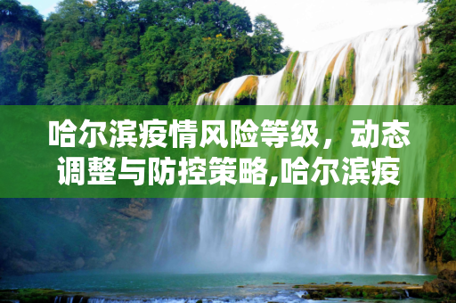 哈尔滨疫情风险等级，动态调整与防控策略,哈尔滨疫情风险等级