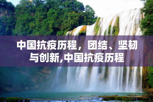 中国抗疫历程，团结、坚韧与创新,中国抗疫历程