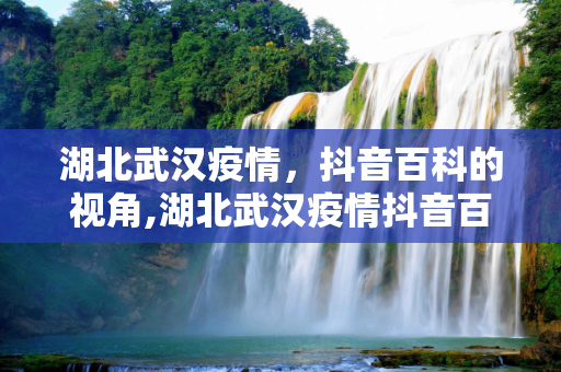 湖北武汉疫情，抖音百科的视角,湖北武汉疫情抖音百科