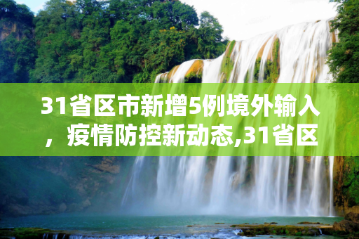 31省区市新增5例境外输入，疫情防控新动态,31省区市新增5例境外输入