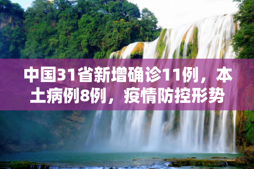 中国31省新增确诊11例，本土病例8例，疫情防控形势依然严峻,31省新增确诊11例本土8例