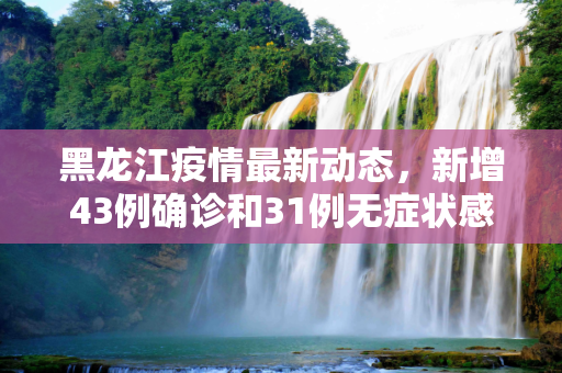 黑龙江疫情最新动态，新增43例确诊和31例无症状感染者,黑龙江新增43例确诊31例无症状