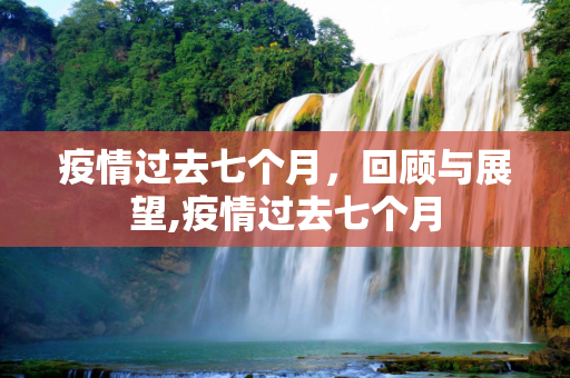 疫情过去七个月，回顾与展望,疫情过去七个月